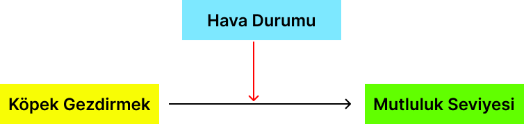 Moderation Düzenleyici Değişken Analizi Şema