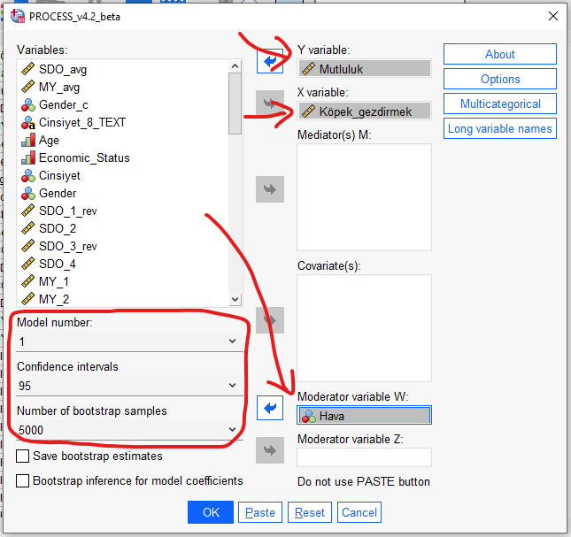 spss Moderation Düzenleyici Değişken Analizi 2