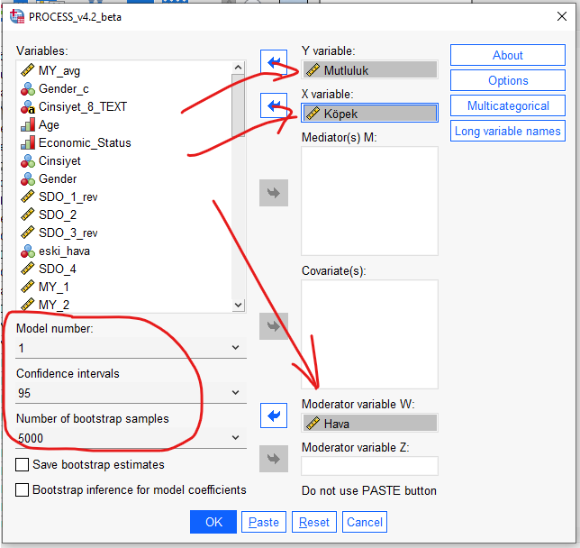 spss process macro moderasyon analizi 1