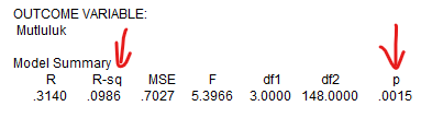 spss process macro moderasyon analizi tablo 1