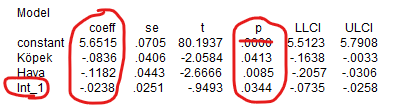 spss process macro moderasyon analizi tablo 2