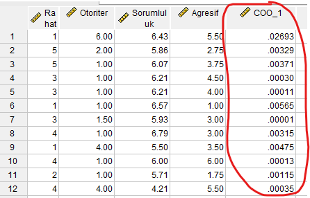 cook's distance spss hesaplama 3