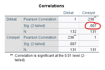 nokta çift serili korelasyon point biserial correlation spss 3