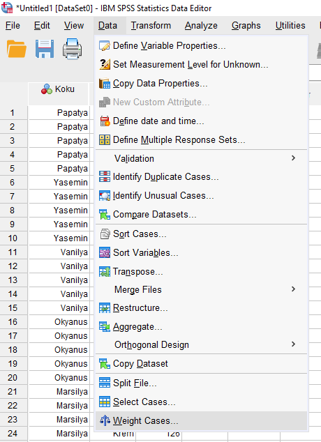 uyum analizi correspondence analysis 4