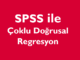 Çoklu Doğrusal Regresyon SPSS