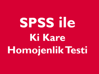 Ki Kare homojenlik testi spss