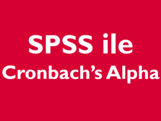 spss ile cronbach's alpha