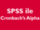 spss ile cronbach's alpha