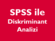 SPSS ile Diskriminant Analizi