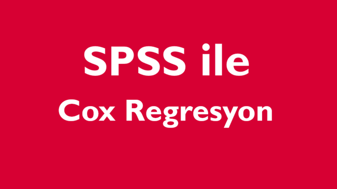 Cox Regresyon Analizi (SPSS)