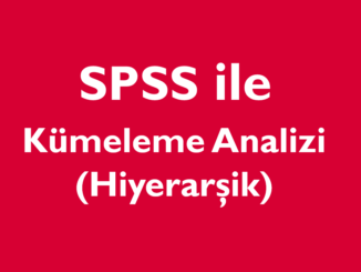 kümeleme analizi hiyerarşik