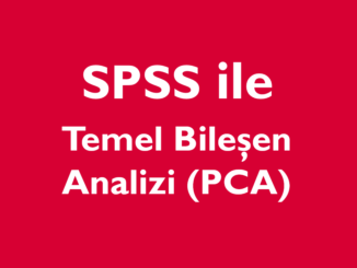 SPSS ile Temel Bileşen Analizi