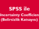 Uncertainty Coefficient (Belirsizlik Katsayısı)