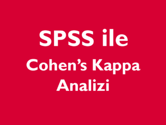 SPSS ile Cohen's Kappa Analizi