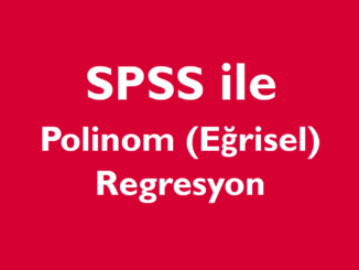 Polinom (Eğrisel) Regresyon SPSS