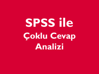 Çoklu Cevap Analizi