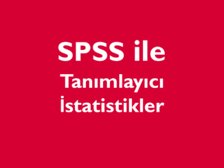 tanımlayıcı istatistikler spss