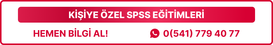 kişiye özel spss dersleri