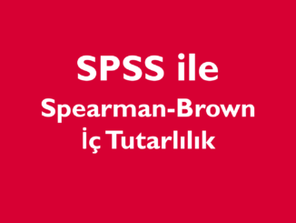 Spearman Brown İç Tutarlılık