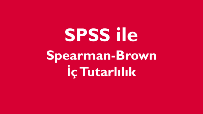 Spearman Brown İç Tutarlılık