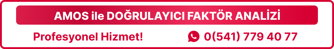 amos ile doğrulayıcı faktör analizi deniz