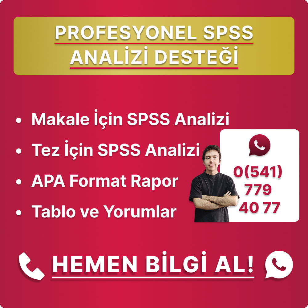 profesyonel spss analizi desteği