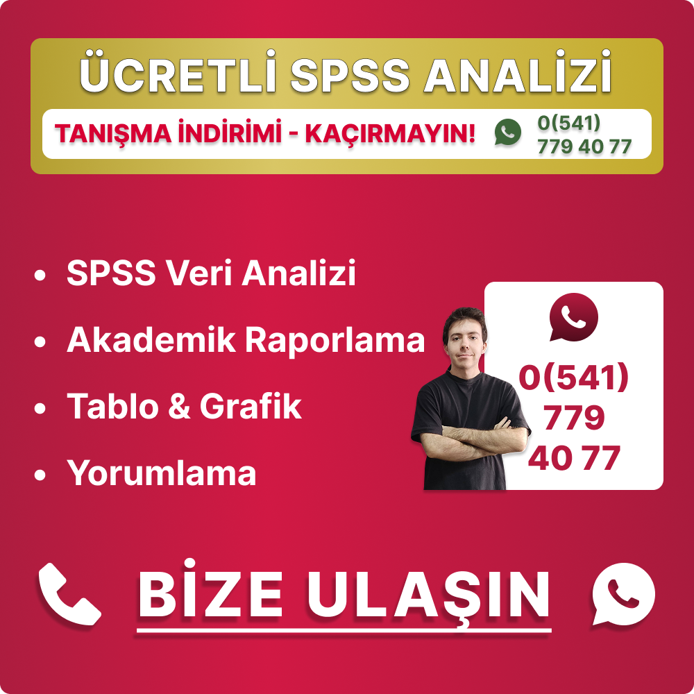 spss analizi raporlama istatistik