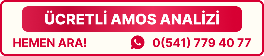 ücretli amos analizi deniz