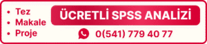 spss tez analizi istatistik ödev yaptırma ücretli spss veri analizi danışmanlık