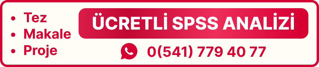 spss tez analizi istatistik ödev yaptırma ücretli spss veri analizi danışmanlık