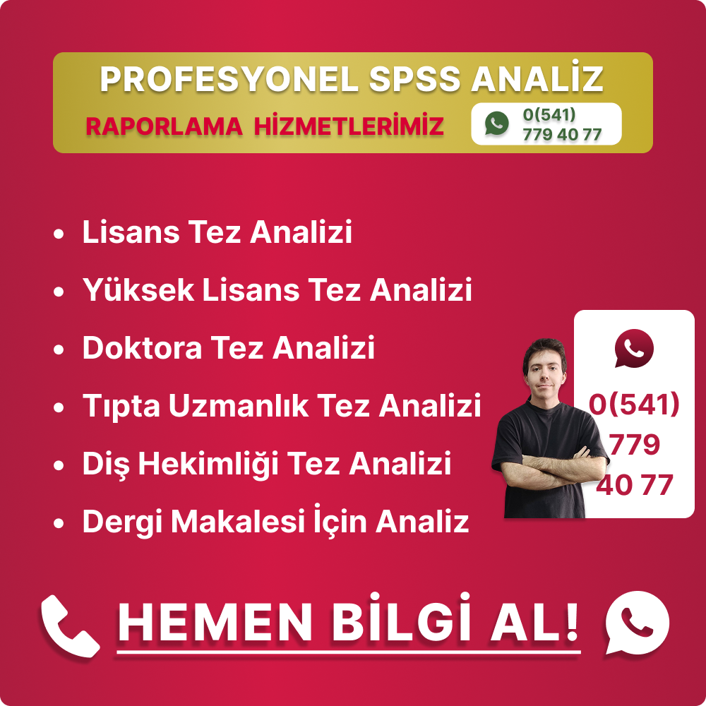 profesyonel spss analiz raporlama hizmetlerimiz