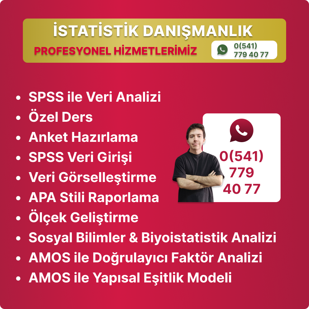 spss danışmanlık profesyonel hizmetlerimiz